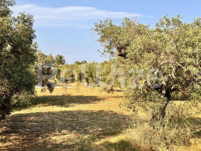 Photo 4,Εξωτερική,ΠΏΛΗΣΗ,Γη,Αγροτεμάχιο,1550τ.μ,€140,000,Ακτή Σαλονικιού