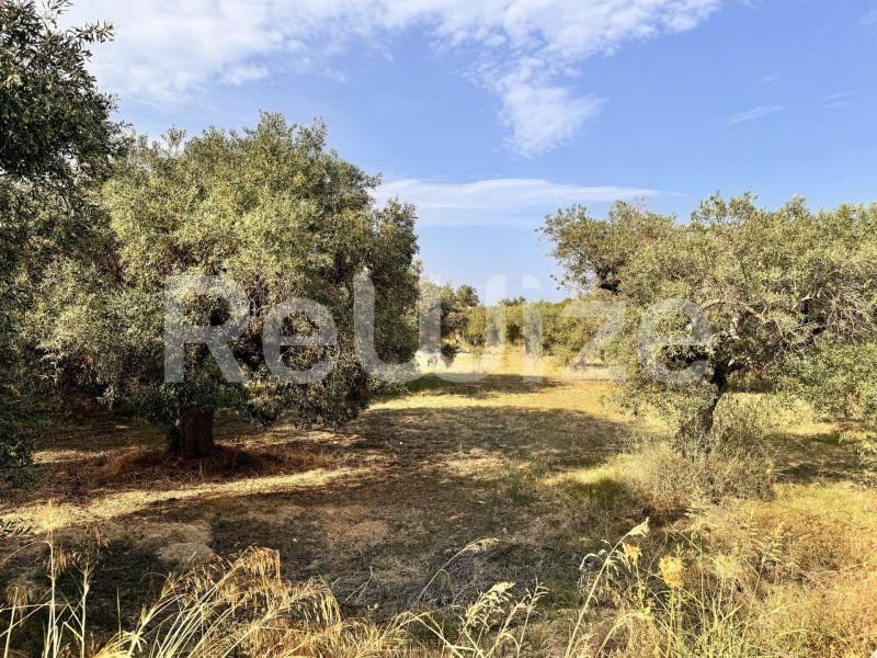 Photo 2,Εξωτερική,ΠΏΛΗΣΗ,Γη,Αγροτεμάχιο,1550τ.μ,€140,000,Ακτή Σαλονικιού