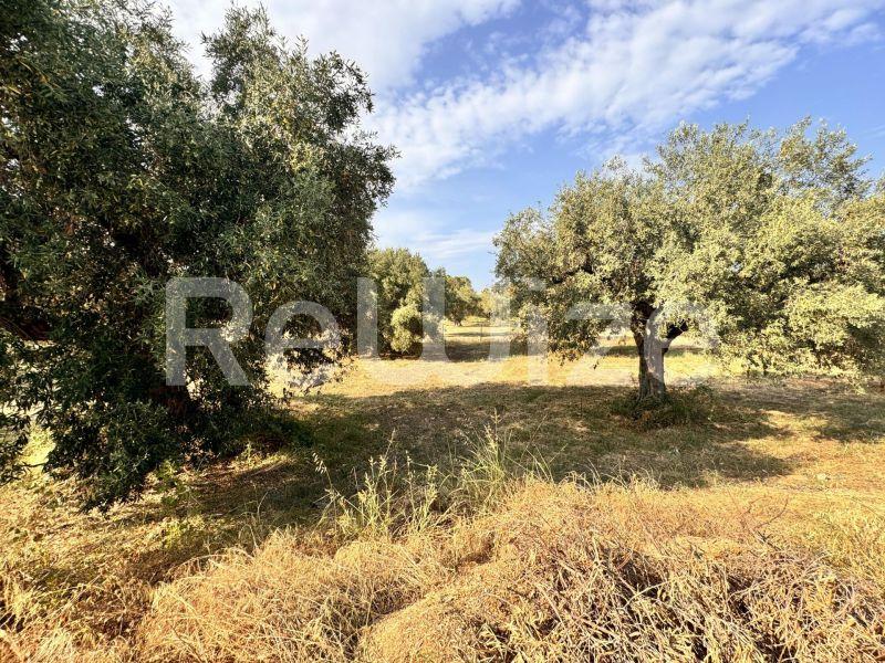 Photo 7,Εξωτερική,ΠΏΛΗΣΗ,Γη,Αγροτεμάχιο,1550τ.μ,€140,000,Ακτή Σαλονικιού