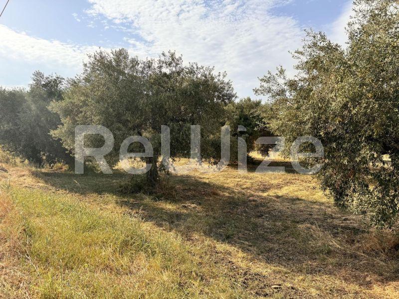 Photo 10,Εξωτερική,ΠΏΛΗΣΗ,Γη,Αγροτεμάχιο,1550τ.μ,€140,000,Ακτή Σαλονικιού