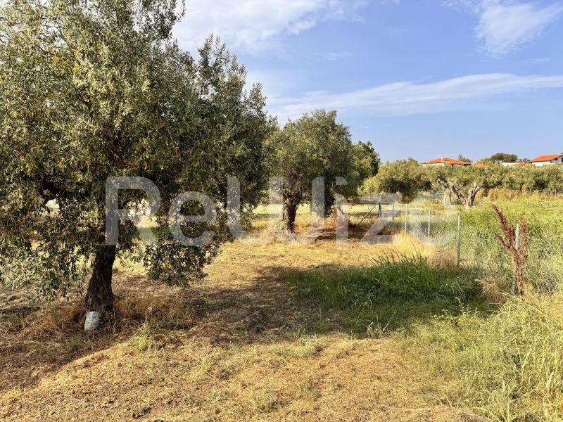 Photo 13,Εξωτερική,ΠΏΛΗΣΗ,Γη,Αγροτεμάχιο,1550τ.μ,€140,000,Ακτή Σαλονικιού