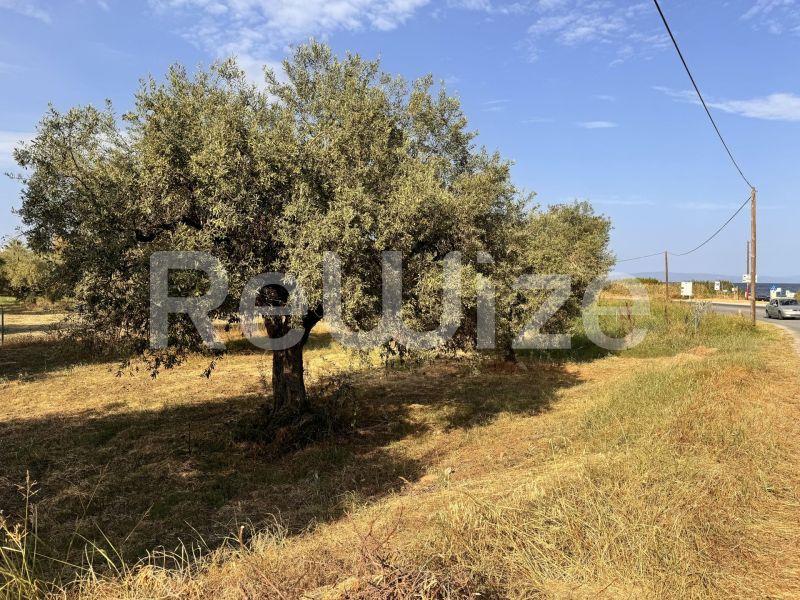 Photo 11,Εξωτερική,ΠΏΛΗΣΗ,Γη,Αγροτεμάχιο,1550τ.μ,€140,000,Ακτή Σαλονικιού