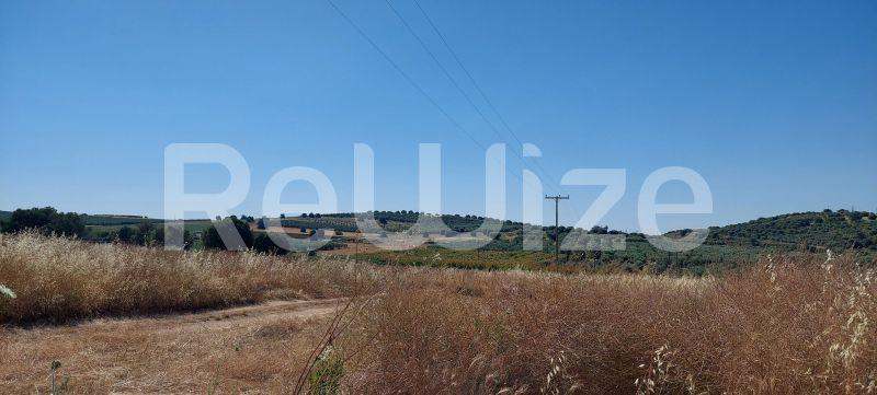 Photo 3,Mountain View,SALE,Land,Field,6770sqm,€180,000,Nea Moudania