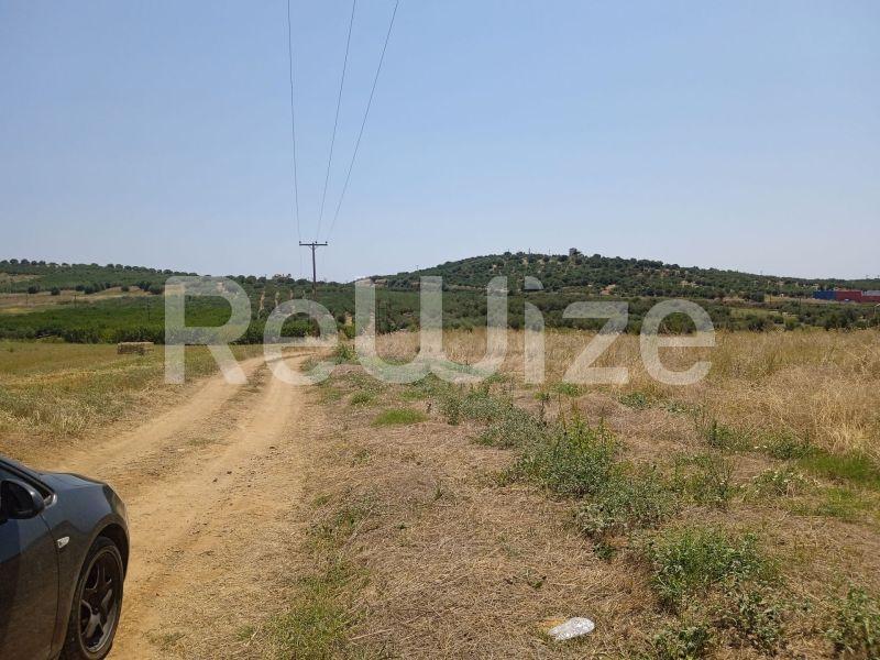 Photo 14,Landscape,SALE,Land,Field,6770sqm,€180,000,Nea Moudania