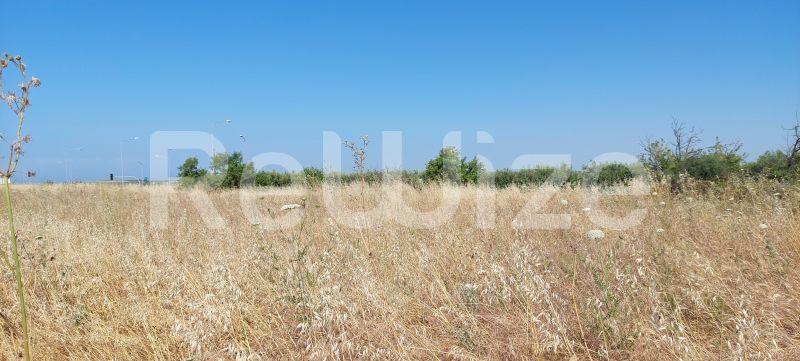 Photo 7,Landscape,SALE,Land,Field,6770sqm,€180,000,Nea Moudania