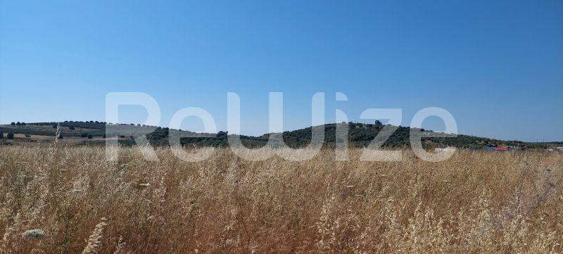 Photo 1,Mountain View,SALE,Land,Field,6770sqm,€180,000,Nea Moudania