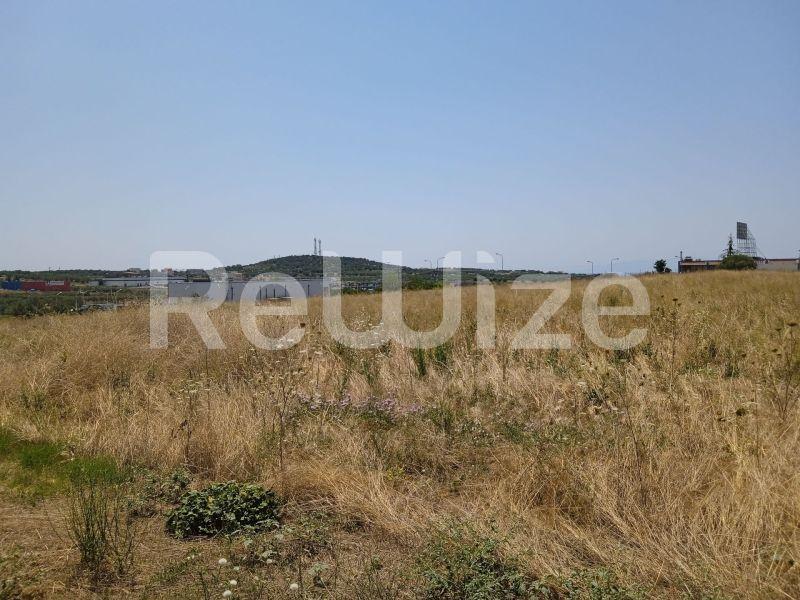 Photo 15,Landscape,SALE,Land,Field,6770sqm,€180,000,Nea Moudania