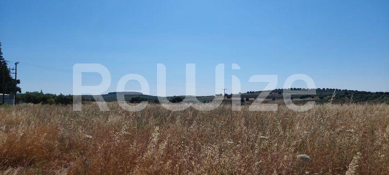 Photo 4,Mountain View,SALE,Land,Field,6770sqm,€180,000,Nea Moudania