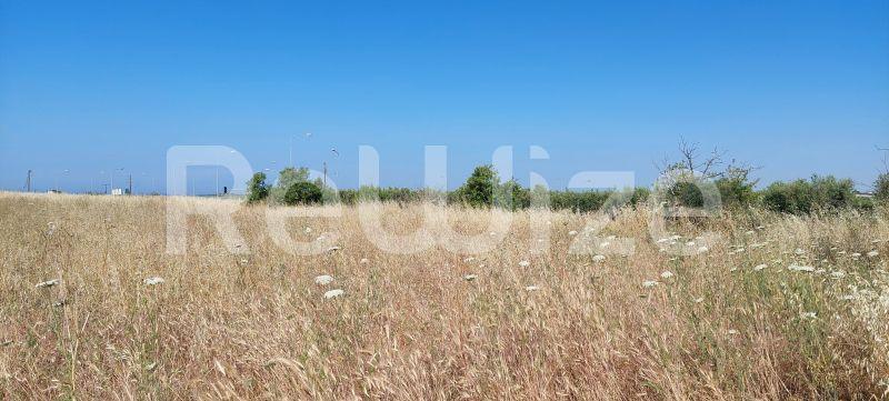 Photo 5,Landscape,SALE,Land,Field,6770sqm,€180,000,Nea Moudania
