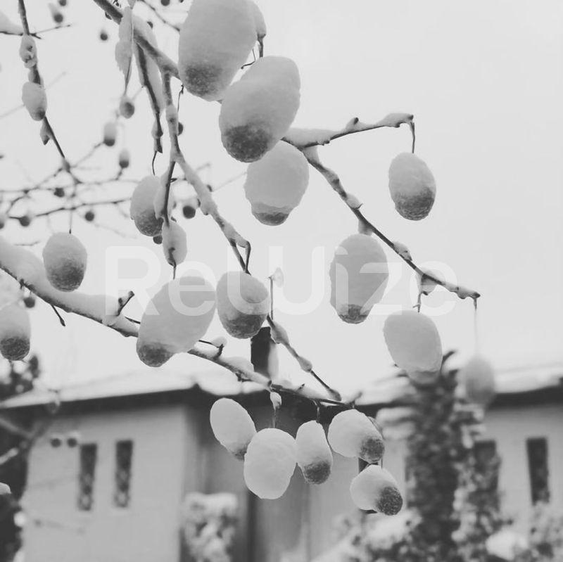 Photo 17,Πισίνα,ΠΏΛΗΣΗ,Κατοικία,Μονοκατοικία,660τ.μ,€850,000,Περαία