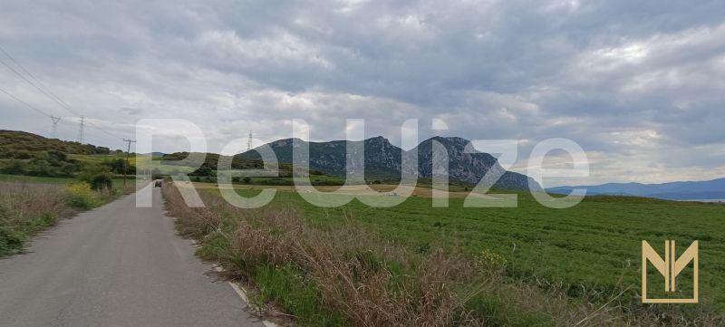 Αγροτεμάχιο 9558 τ.μ. στα Σέρβια, φωτογραφία 8