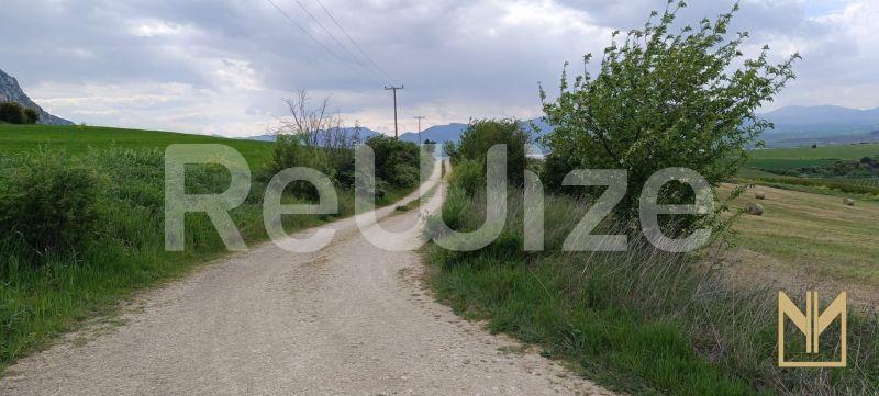 Αγροτεμάχιο 9558 τ.μ. στα Σέρβια, φωτογραφία 2