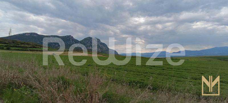 Αγροτεμάχιο 9558 τ.μ. στα Σέρβια, φωτογραφία 6