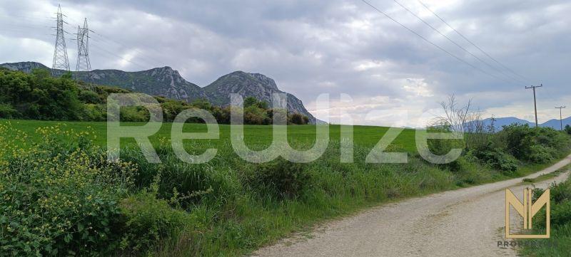Αγροτεμάχιο 9558 τ.μ. στα Σέρβια, φωτογραφία 4