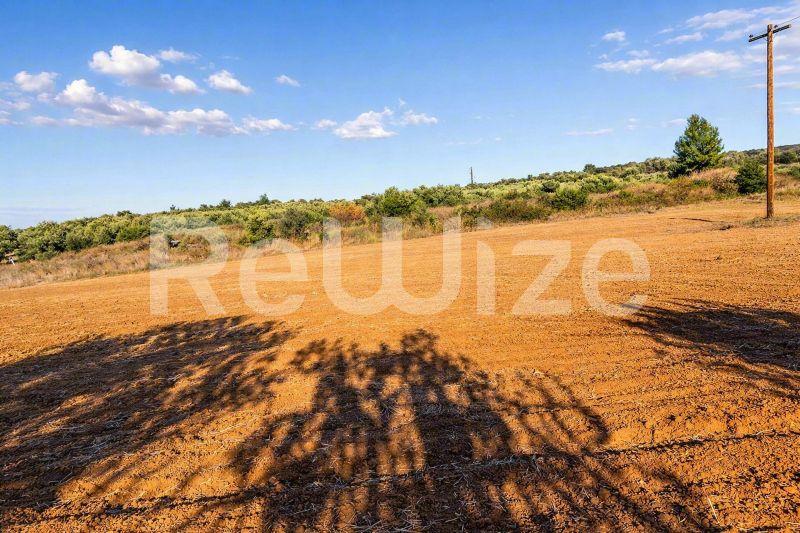 Αγροτεμάχιο 12500 τ.μ. στη Σιθωνία, φωτογραφία 4