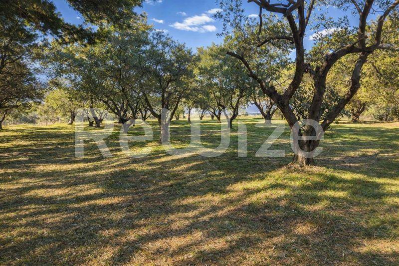 Photo 6,Landscape,SALE,Land,Plot,3440sqm,€350,000,Souroti