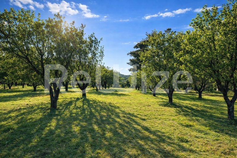 Photo 4,Landscape,SALE,Land,Plot,3440sqm,€350,000,Souroti
