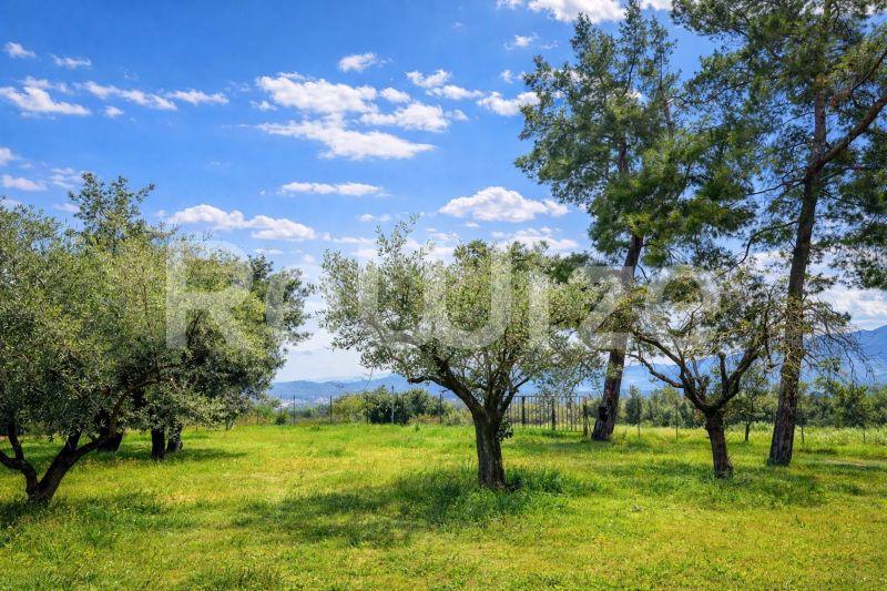 Photo 2,Landscape,SALE,Land,Plot,3440sqm,€350,000,Souroti
