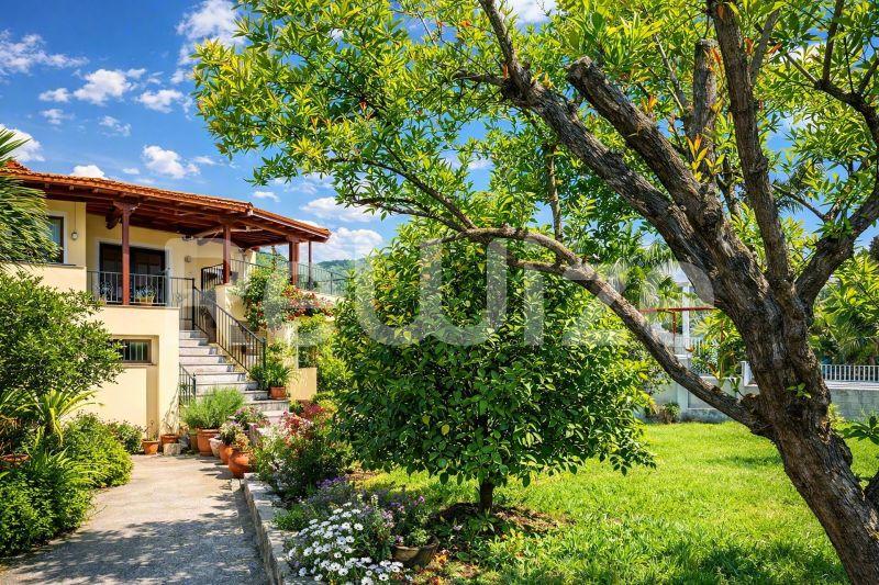 Όμορφη πρόσοψη μονοκατοικίας με κίτρινα τοιχώματα, ξύλινα παραθυρόφυλλα και πράσινη βλάστηση στη Χαλκιδική.