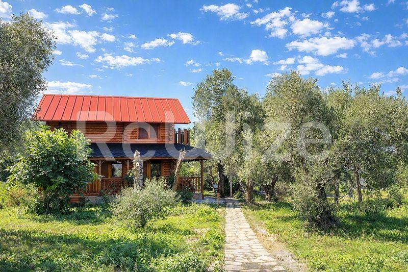 Όμορφο μονοκατοικίας με κόκκινη μεταλλική στέγη ανάμεσα σε ελιές στη Χαλκιδική.