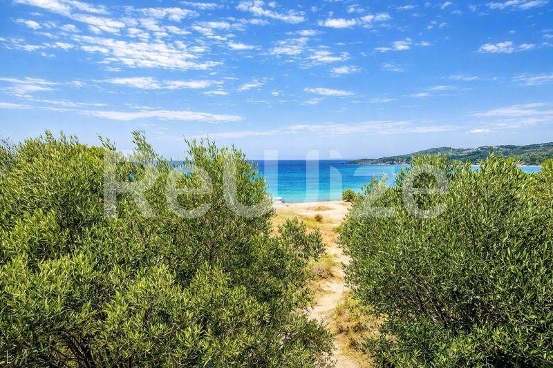 Θέα θάλασσας από μια μονοκατοικία στη Χαλκιδική με αμμώδη παραλία και γαλάζια νερά.