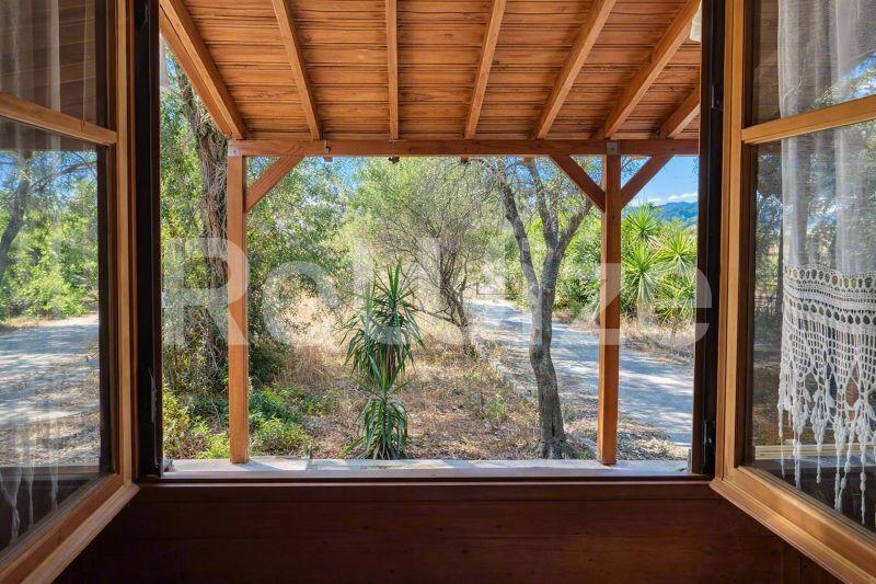 Ξύλινη βεράντα μονοκατοικίας στη Χαλκιδική με θέα στα δέντρα και τη φύση.