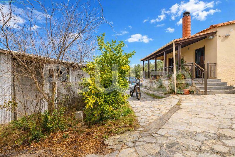 Όμορφη πρόσοψη μονοκατοικίας στη Χαλκιδική με πέτρινο μονοπάτι, κεραμοσκεπή και πράσινο περιβάλλον.