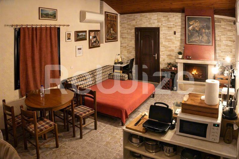 Ανοιχτόχωρος χώρος διαμονής μονοκατοικίας στη Χαλκιδική με κρεβάτι, τζάκι και ενσωματωμένη κουζίνα.