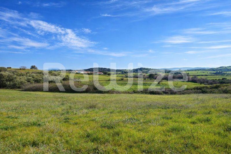 Photo 3,Landscape,SALE,Land,Field,11817sqm,€170,000,Tripiti