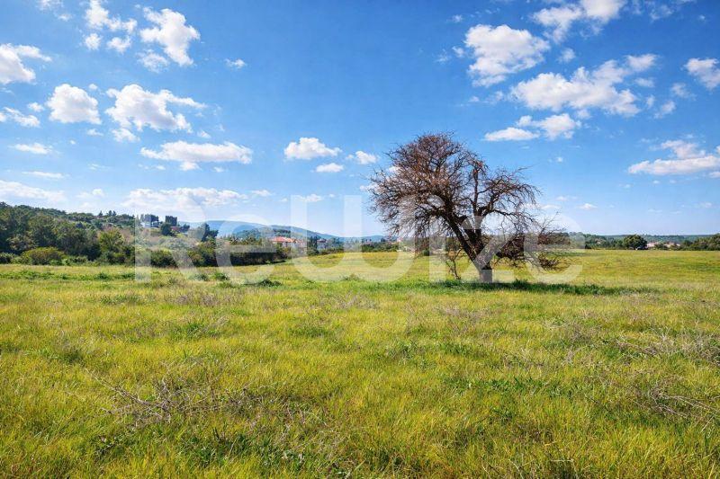 Photo 1,Landscape,SALE,Land,Field,11817sqm,€170,000,Tripiti