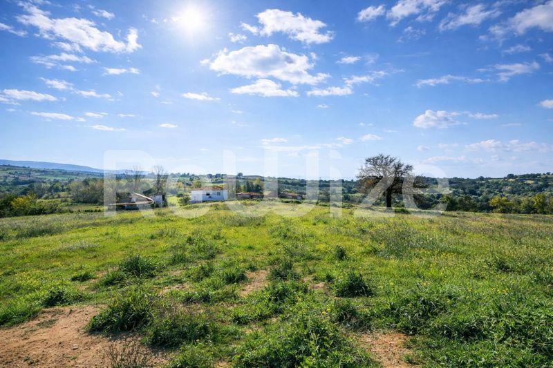 Photo 5,Landscape,SALE,Land,Field,11817sqm,€170,000,Tripiti