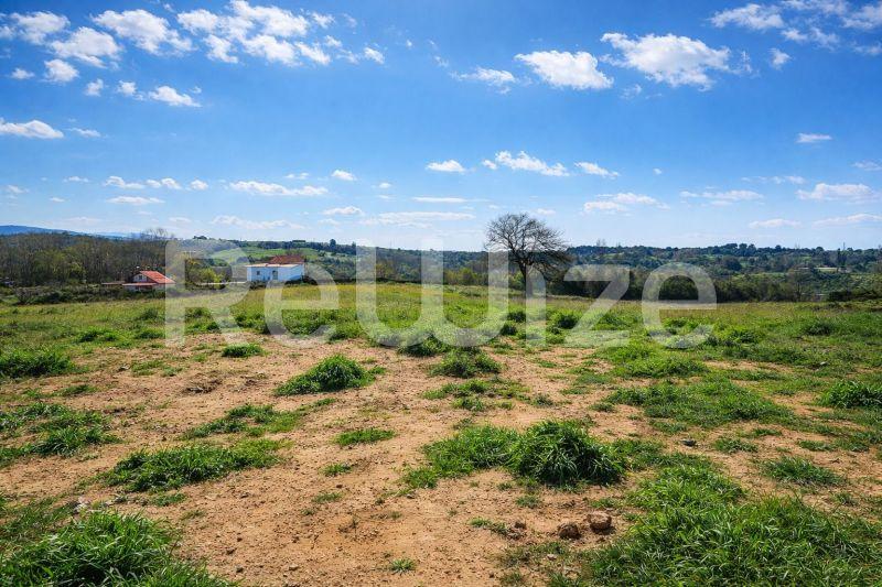 Photo 4,Landscape,SALE,Land,Field,11817sqm,€170,000,Tripiti
