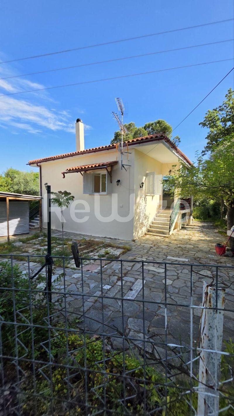 Photo 6,Εξωτερική,ΕΝΟΙΚΊΑΣΗ,Κατοικία,Μονοκατοικία,56τ.μ,€520,Μαλακάσα