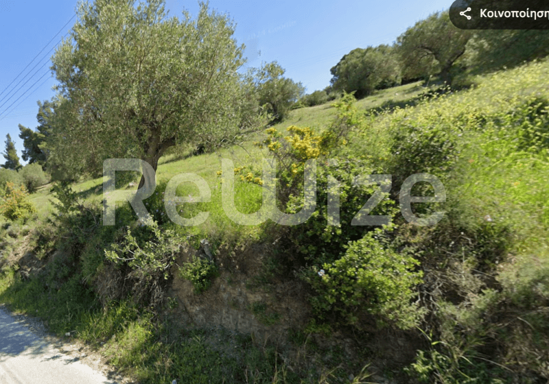 Photo 4,Εξωτερική,ΠΏΛΗΣΗ,Γη,Αγροτεμάχιο,5428τ.μ,€800,000,Νικήτη