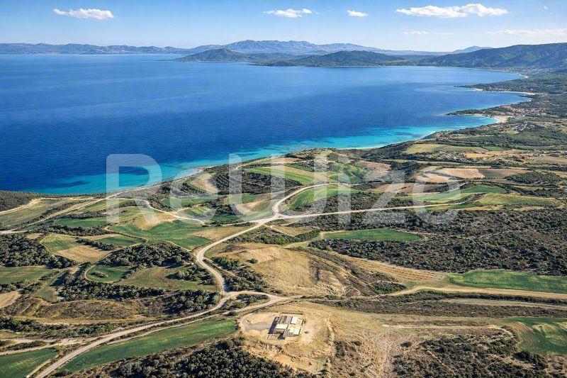 Εναέρια άποψη οικοπέδου στη Χαλκιδική με πρόσβαση στην ακτή, περιτριγυρισμένο από ελαιώνες.