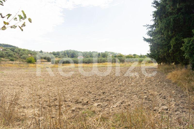 Photo 20,Τοπίο,ΠΏΛΗΣΗ,Γη,Αγροτεμάχιο,6000τ.μ,€150,000,Καλάνδρα