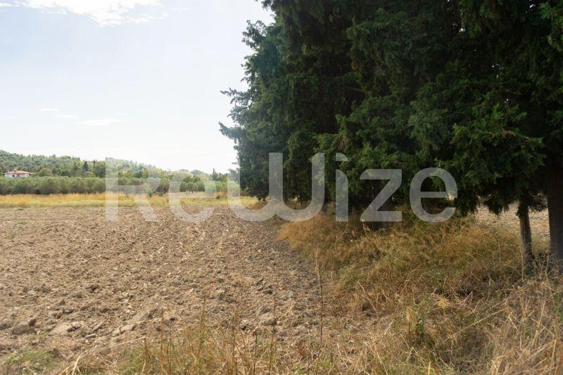Photo 2,Τοπίο,ΠΏΛΗΣΗ,Γη,Αγροτεμάχιο,6000τ.μ,€150,000,Καλάνδρα