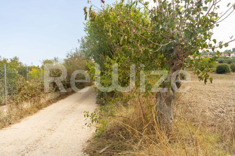 Photo 21,Τοπίο,ΠΏΛΗΣΗ,Γη,Αγροτεμάχιο,6000τ.μ,€150,000,Καλάνδρα