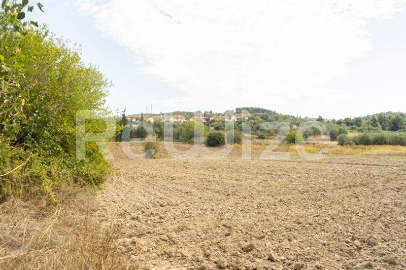 Photo 24,Τοπίο,ΠΏΛΗΣΗ,Γη,Αγροτεμάχιο,6000τ.μ,€150,000,Καλάνδρα