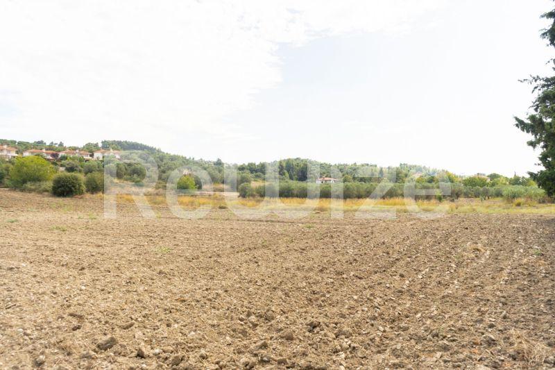 Photo 18,Τοπίο,ΠΏΛΗΣΗ,Γη,Αγροτεμάχιο,6000τ.μ,€150,000,Καλάνδρα