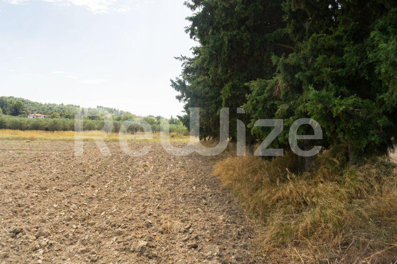 Photo 4,Τοπίο,ΠΏΛΗΣΗ,Γη,Αγροτεμάχιο,6000τ.μ,€150,000,Καλάνδρα