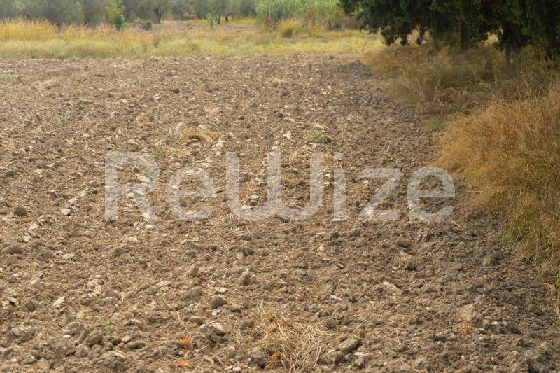 Photo 5,Τοπίο,ΠΏΛΗΣΗ,Γη,Αγροτεμάχιο,6000τ.μ,€150,000,Καλάνδρα
