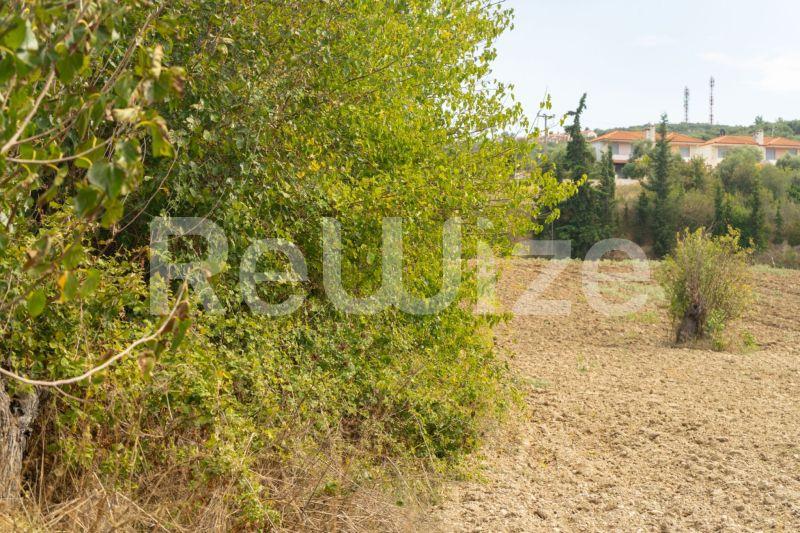 Photo 6,Τοπίο,ΠΏΛΗΣΗ,Γη,Αγροτεμάχιο,6000τ.μ,€150,000,Καλάνδρα