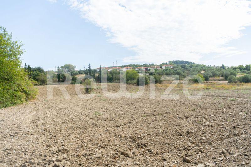 Photo 23,Τοπίο,ΠΏΛΗΣΗ,Γη,Αγροτεμάχιο,6000τ.μ,€150,000,Καλάνδρα
