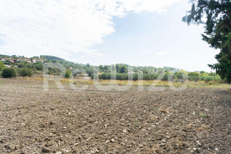 Photo 25,Τοπίο,ΠΏΛΗΣΗ,Γη,Αγροτεμάχιο,6000τ.μ,€150,000,Καλάνδρα