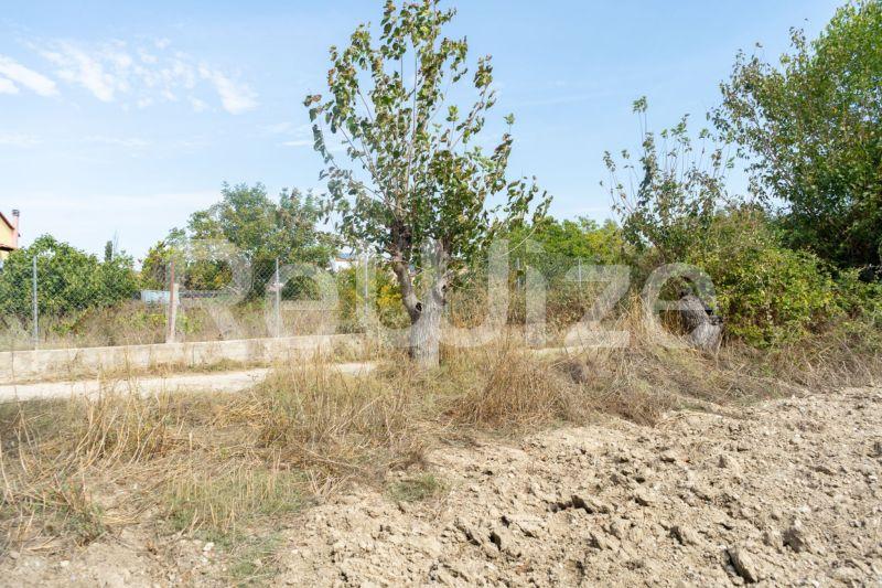 Photo 7,Τοπίο,ΠΏΛΗΣΗ,Γη,Αγροτεμάχιο,6000τ.μ,€150,000,Καλάνδρα