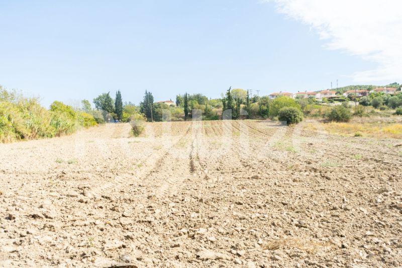 Photo 8,Τοπίο,ΠΏΛΗΣΗ,Γη,Αγροτεμάχιο,6000τ.μ,€150,000,Καλάνδρα