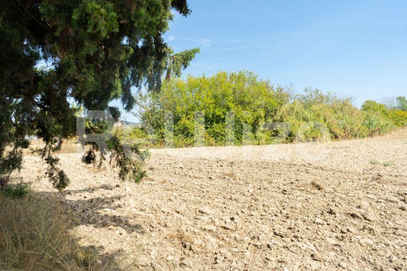 Photo 9,Τοπίο,ΠΏΛΗΣΗ,Γη,Αγροτεμάχιο,6000τ.μ,€150,000,Καλάνδρα