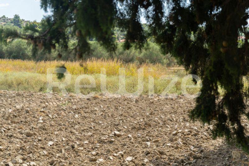 Photo 11,Τοπίο,ΠΏΛΗΣΗ,Γη,Αγροτεμάχιο,6000τ.μ,€150,000,Καλάνδρα