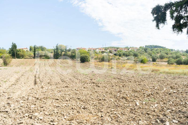 Photo 19,Τοπίο,ΠΏΛΗΣΗ,Γη,Αγροτεμάχιο,6000τ.μ,€150,000,Καλάνδρα